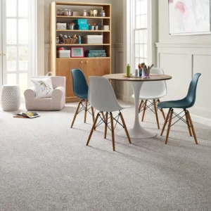Kids playroom Carpet | Green's Floors & More