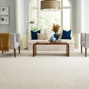 Carpet in living room | Green's Floors & More