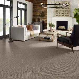 Carpet in a sitting room | Green's Floors & More