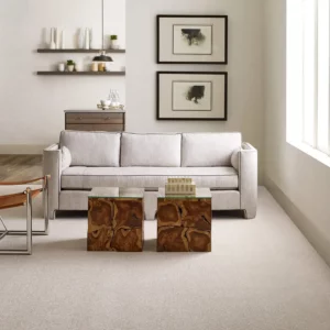 living room Carpet | Green's Floors & More
