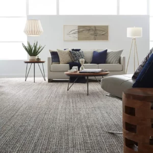 Carpet in a modern living room | Green's Floors & More