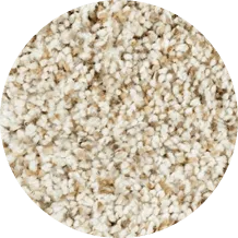 carpet-1 (2) (1) carpet-1 (2) (1)